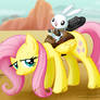 Yee-Haw!