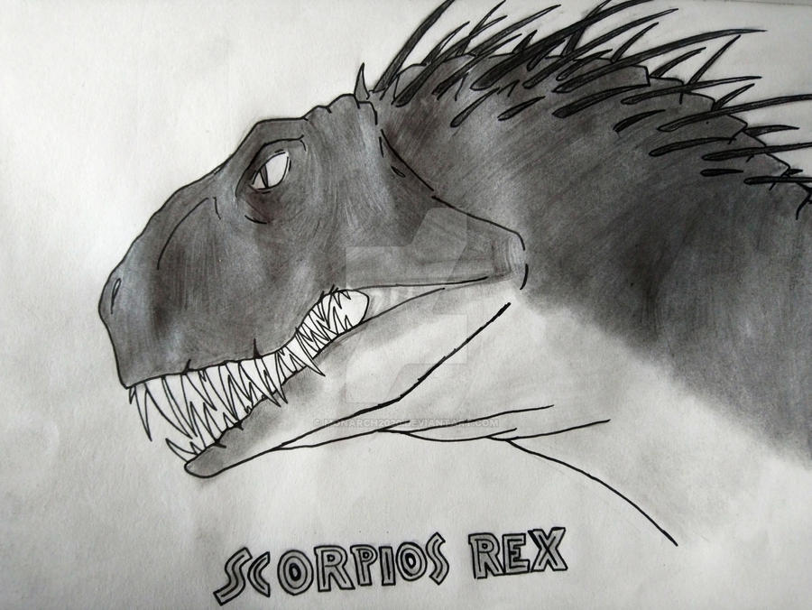 Dessin Scorpion Rex Coloriage Scorpion A Imprimer MIQG dessin-scorpion-rex-coloriage-scorpion-a-imprimer-miqg