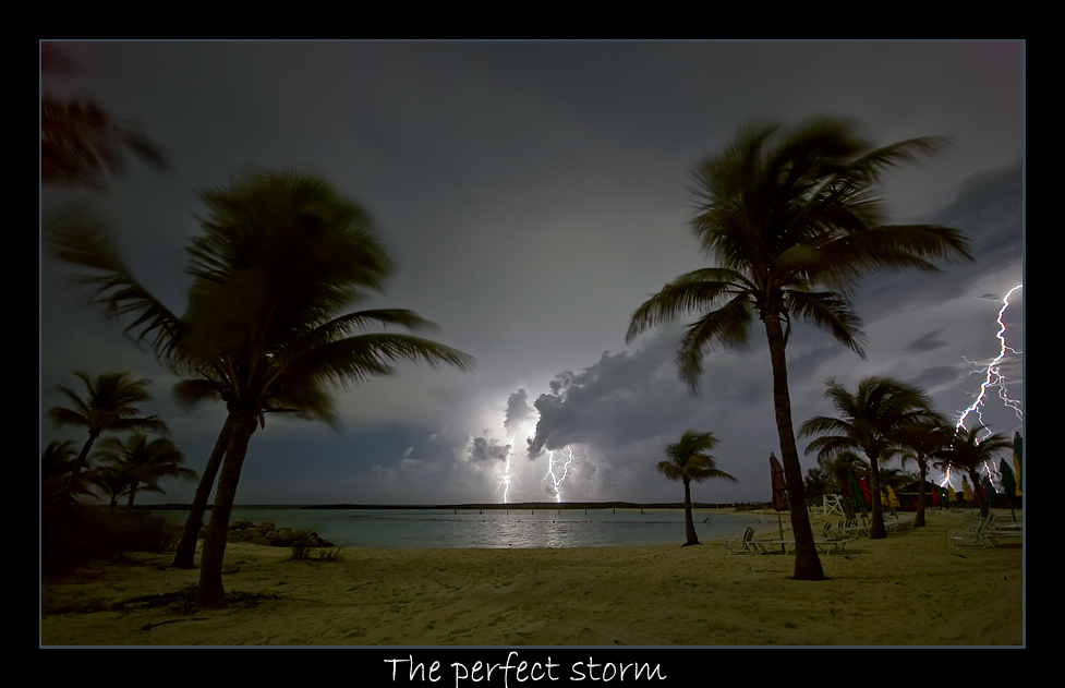 The Perfect Storm