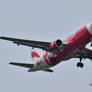 Thai AirAsia A320 - HS-ABY - Endangered Livery