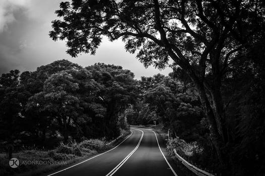 (Up)Country Roads | Maui
