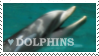 Dolphins by stamp-animalia