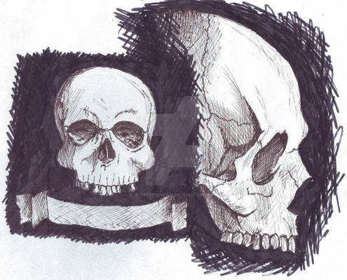 Skulls Sketch