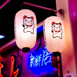 Kitty Lanterns