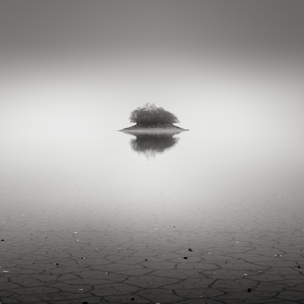 Fog at the lake bed III