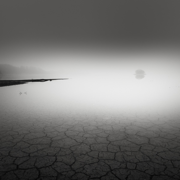 Fog at the lake bed IV