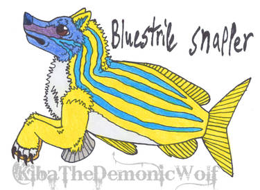 Wolf Snapper Explore the Best Fishwolfbluestripesnapper Art | DeviantArt