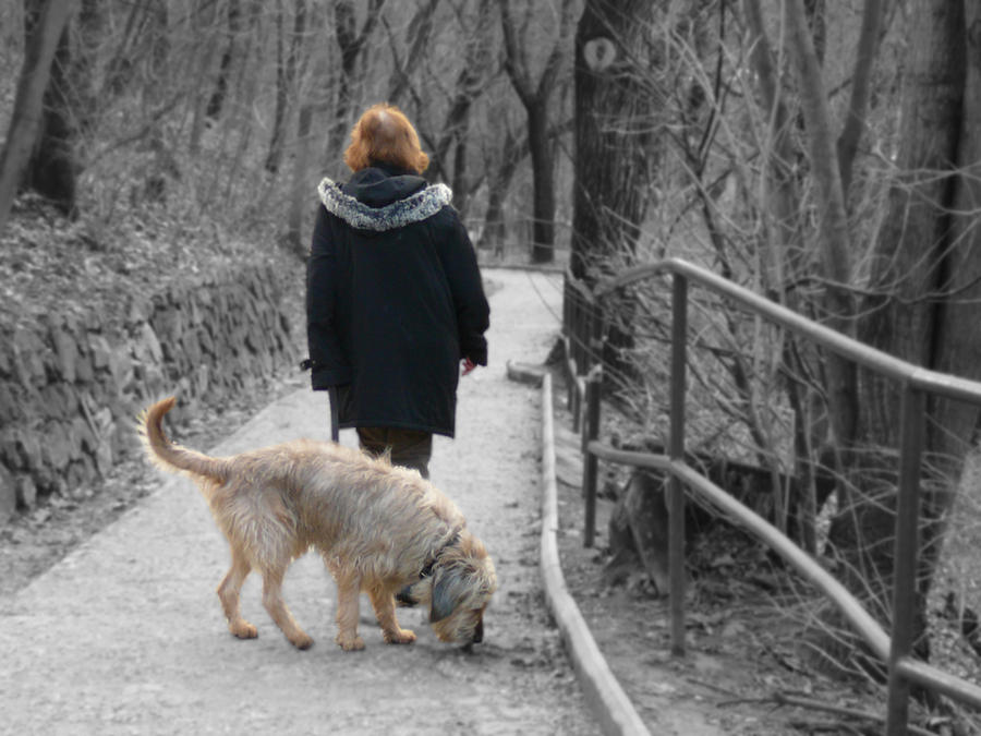 Walk Time Deviantart Walking time by michalsindelar03 on DeviantArt