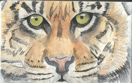 Ink and Watercolor Tiger