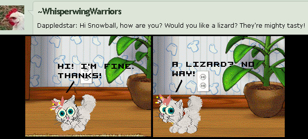 Ask Snowball the cat - question 1