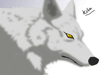 Kiba [WOLFS RAIN]