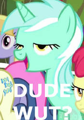 Lyra: DUDE WUT?