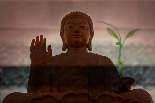 Buddha Zen