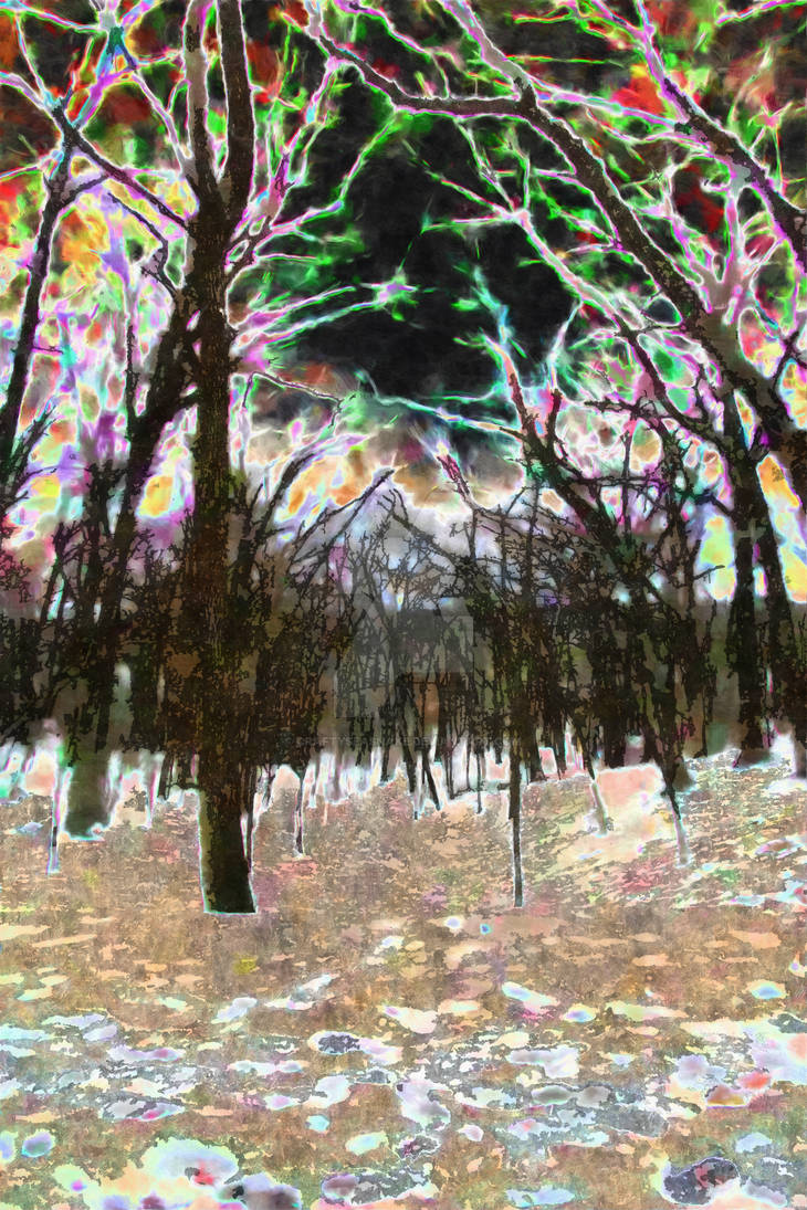 Color Inverted Forest Inverted Forest by Craftyseasnake on DeviantArt