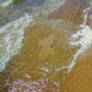 Wave Detail