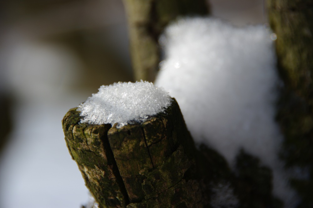 Snow on Wood