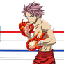 It's time to fight! n.2 {Natsu Dragneel}