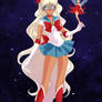 Sailor Senshi8