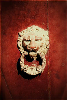 The Lion 2