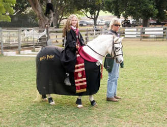 Harry Potter Horse by KWTHATSME