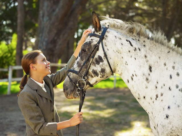 Girl With Horse