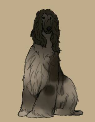 Dog Study #1- Miss Jackson