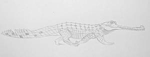 Smart gharial