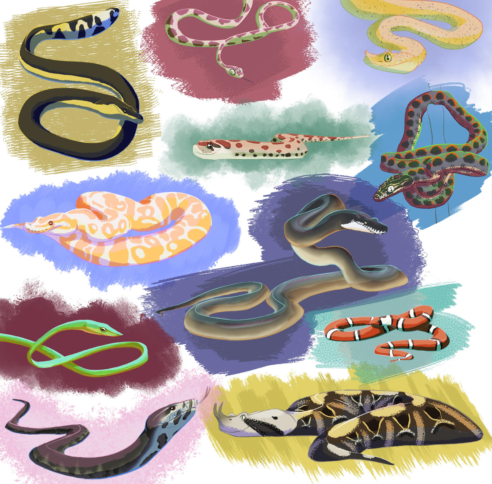 Snake Inverted Colors All colours of snakes by Rainbowleo on DeviantArt