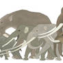 Elephant evolution