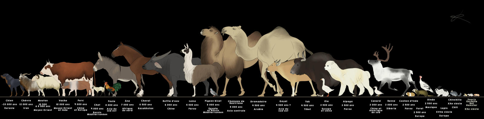 Domestication Graphics Domestication by Rainbowleo on DeviantArt