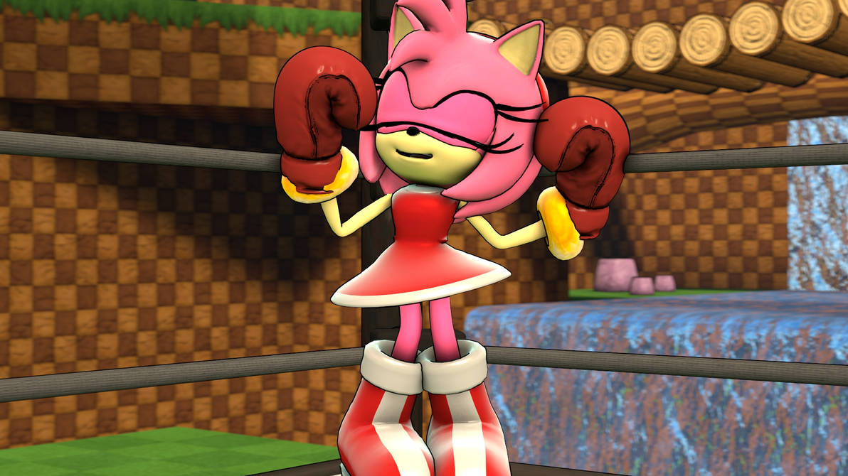 Amy vs Rouge- Presentation of Amy by anotherpunisher on DeviantArt