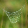 Spiderweb 03