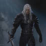 The Witcher New Armor
