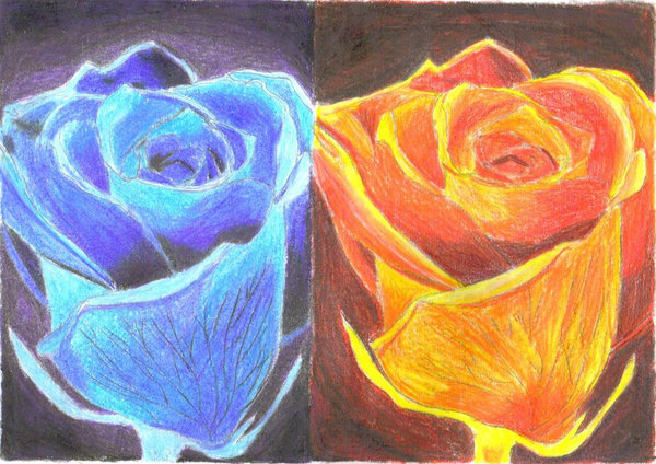 Roses Of Fire And Ice By Floral Solstice On Deviantart Roses Of Fire And Ice By Floral Solstice On Deviantart