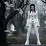 White Ravens