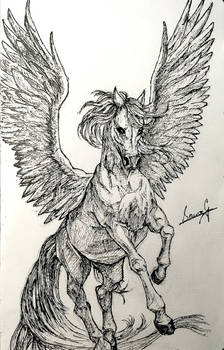 Pegasus- Pen Sketch
