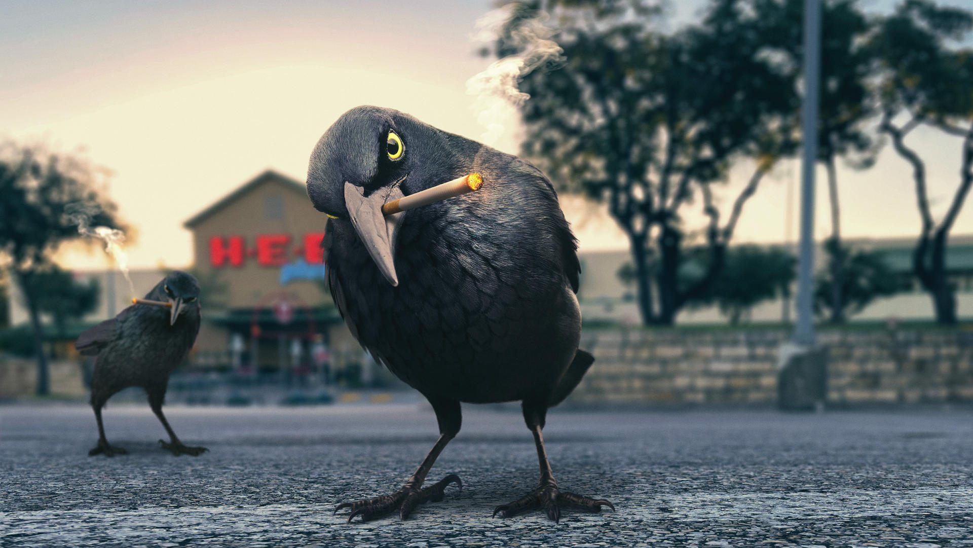 bird smoking cigarette Pigeon Art, Funny Wall Art, Cool Animal Modern Pop Decor 23,678 Smoke Bird Royalty-Free Images,