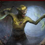 Berserker CCG
