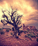 Clinging to Life by Parabola-Pop