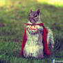 SuperSquirrel - The Last squirrel of Krypton