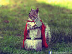 Thor Squirrel by ShikharSrivastava