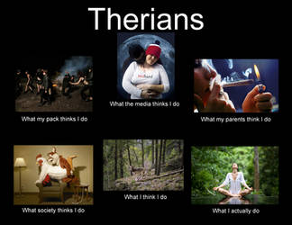 Therian/Otherkin Tiktoks That Helped You Figure Out Your