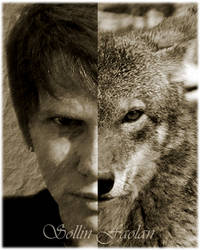 Sollin Faolan~ Red Wolf Therian