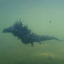 Godzilla is coming