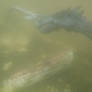 Zilla monster and shipwreck