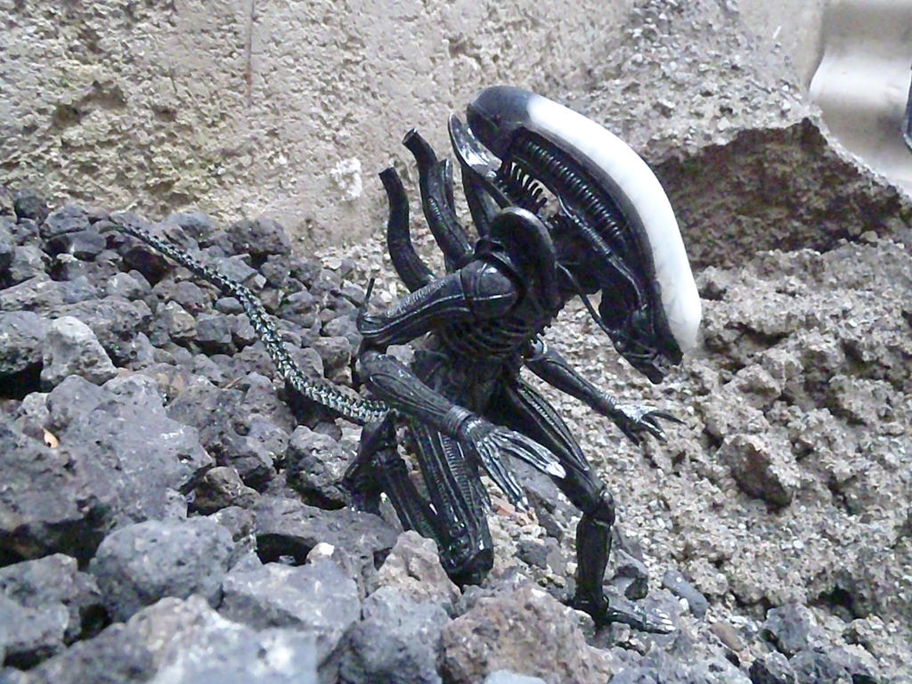 Xenomorph Alien 1979 Original design by Krulos on DeviantArt