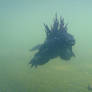 Godzilla is coming II