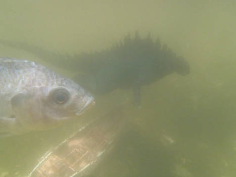 Godzilla, Shipwreck and Bigfish