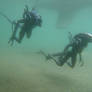 Internecivus raptus, Xenomorphs Swimming
