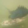 Godzilla and Shipwreck